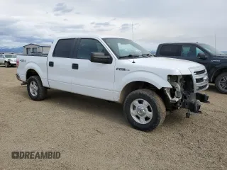 2013 Ford F-150 XL z VIN 1FTFW1EF8DFC06181, wystawiony jako Copart lot #48256795 z przebiegiem 147 939 mil mil oraz Szkoda całkowita • Salvage title. Historia ofert i sprzedaży dostępna na DreamBid. Obrazek 4.