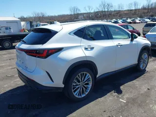2025 Lexus NX with VIN 2T2GGCEZ1SC067262, listed as a IAAI auction lot 41856760 with 4,217 mi miles. Bid and sale history available at carsss.com. Image 4.
