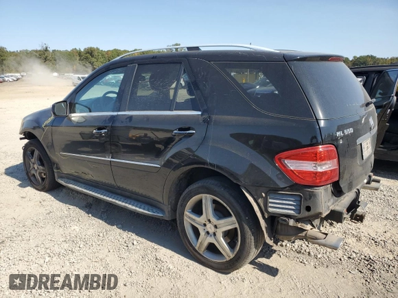 2010 Mercedes-Benz M 550 with VIN 4JGBB7CB3AA609003, listed as a Copart auction lot 75758754 with 156,166 mi miles and Clean Title. Bid and sale history available at DreamBid. Image 2.