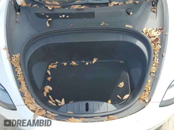 2019 Tesla Model 3 Long Range with VIN 5YJ3E1EB5KF418329, listed as a Copart auction lot 52183935 with 121,784 mi miles and Salvage Title. Bid and sale history available at DreamBid. Image 11.