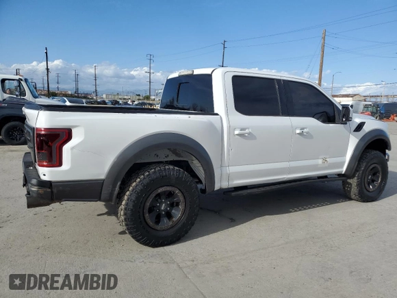 2017 Ford F-150 Raptor with VIN 1FTFW1RG6HFB54428, listed as a Copart auction lot 51157125 with 46,227 mi miles and Salvage Title. Bid and sale history available at carsss.com. Image 3.