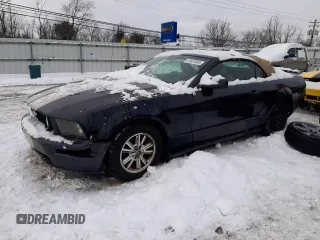 2009 Ford Mustang with VIN 1ZVHT84N395121827, listed as a Copart auction lot 41651645 with 117,203 mi miles and Clean title. Bid and sale history available at DreamBid. Image 1.