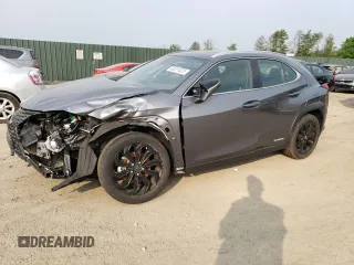 2021 Lexus UX 250h with VIN JTHP9JBH1M2046894, listed as a Copart auction lot 58231625 with 22,248 mi miles and Salvage title. Bid and sale history available at DreamBid. Image 1.