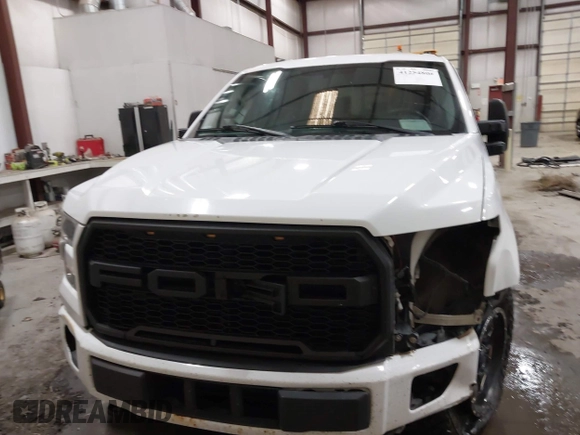 2016 Ford F-150 XLT with VIN 1FTEW1EP3GKE25825, listed as a IAAI auction lot 41254806 with 140,971 mi miles. Bid and sale history available at carsss.com. Image 13.