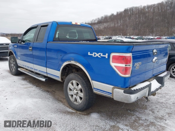2013 Ford F-150 XL with VIN 1FTFX1ET9DFA00998, listed as a IAAI auction lot 41216058 with 168,995 mi miles and . Bid and sale history available at DreamBid. Image 3.