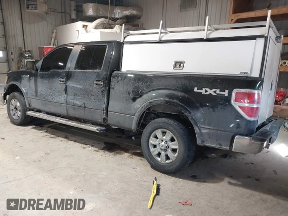 2010 Ford F-150 XL with VIN 1FTFW1EV8AFA57290, listed as a IAAI auction lot 41630049 with 163,077 mi miles. Bid and sale history available at carsss.com. Image 3.