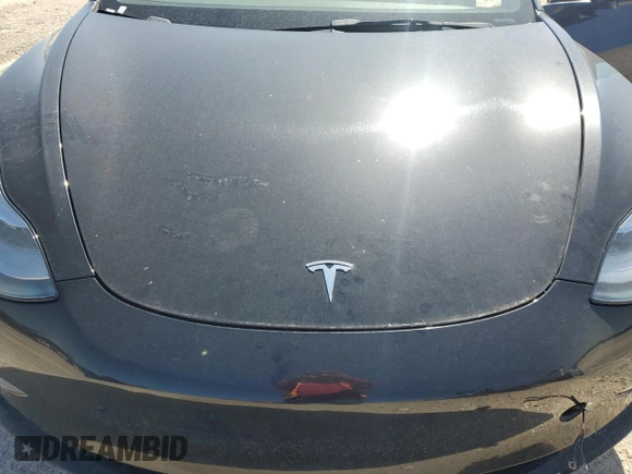 2023 Tesla Model 3 with VIN 5YJ3E1EA1PF456896, listed as a Copart auction lot 50423785 with 49,316 mi miles and Salvage title. Bid and sale history available at DreamBid. Image 13.