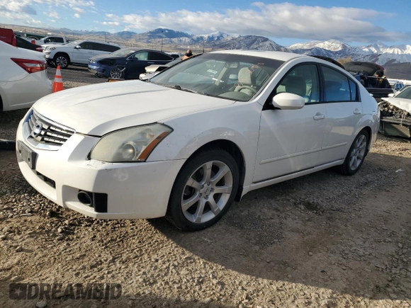 2008 Nissan Maxima SE with VIN 1N4BA41E28C801181, listed as a Copart auction lot 81125094 with Not Provided miles and Clean Title. Bid and sale history available at DreamBid. Image 1.