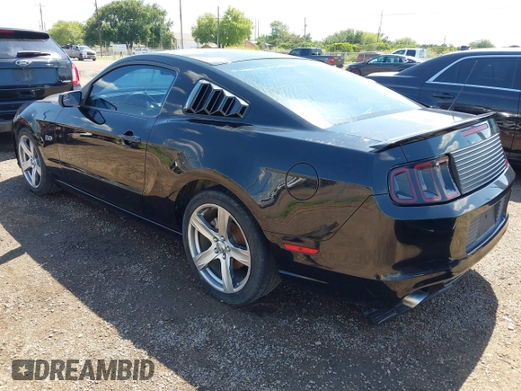 2013 Ford Mustang V6 with VIN 1ZVBP8AM3D5244879, listed as a IAAI auction lot 42210809 with Not provided miles and . Bid and sale history available at DreamBid. Image 3.
