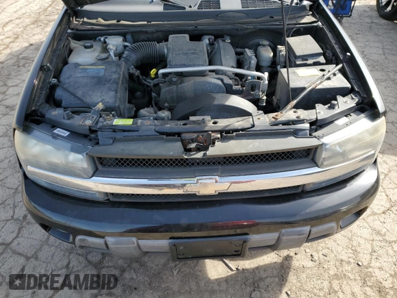 2006 Chevrolet TrailBlazer LS with VIN 1GNET16S966129413, listed as a Copart auction lot 48790285 with 265,822 mi miles and Salvage Title. Bid and sale history available at DreamBid. Image 12.
