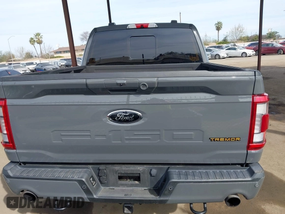 2021 Ford F-150 XL with VIN 1FTEW1E80MFD01797, listed as a IAAI auction lot 41666630 with 25,019 mi miles. Bid and sale history available at carsss.com. Image 17.