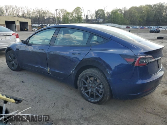 2023 Tesla Model 3 with VIN 5YJ3E1EA0PF550980, listed as a Copart auction lot 53725485 with 23,900 mi miles and Salvage Title. Bid and sale history available at carsss.com. Image 2.