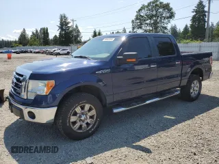 2009 Ford F-150 XL z VIN 1FTPW14V49FA96024, wystawiony jako Copart lot #59053295 z przebiegiem 147 953 mil mil oraz Szkoda całkowita • Salvage title. Historia ofert i sprzedaży dostępna na DreamBid. Obrazek 1.