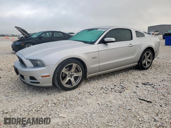 2013 Ford Mustang GT with VIN 1ZVBP8CF2D5215937, listed as a Copart auction lot 61425015 with Not provided miles and Salvage title. Bid and sale history available at DreamBid. Image 1.