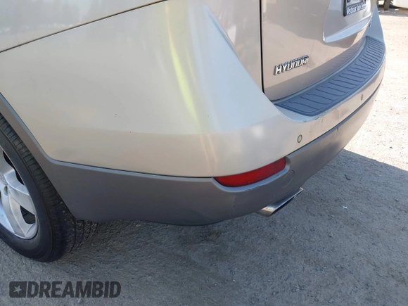 2007 Hyundai Veracruz GLS with VIN KM8NU13C07U028238, listed as a IAAI auction lot 42122348 with 178,690 mi miles and . Bid and sale history available at DreamBid. Image 6.