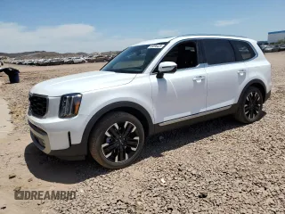 2023 Kia Telluride SX with VIN 5XYP54GC1PG362303, listed as a Copart auction lot 59298425 with 24,542 mi miles and Salvage title. Bid and sale history available at DreamBid. Image 1.