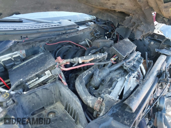 2010 Ford F-150 XL with VIN 1FTEX1E80AFA90416, listed as a IAAI auction lot 41446367 with Not provided miles and . Bid and sale history available at DreamBid. Image 10.
