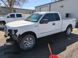 2012 Ford F-150 XL with VIN 1FTFX1ETXCFC98234, listed as a Copart auction lot 49923535 with 150,106 mi miles and Salvage title. Bid and sale history available at DreamBid. Image 1.