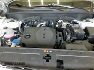 2023 Hyundai Santa Fe XRT с VIN 5NMS6DAJ9PH512534, выставлен на аукционе Copart как лот 60198265 с пробегом 20 210 миль миль и Списание • Salvage title. История ставок и продаж доступна на DreamBid. Изображение 14.