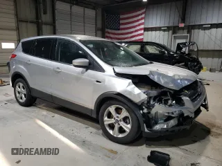 2013 Ford Escape SE with VIN 1FMCU9G98DUA13874, listed as a Copart auction lot 49039595 with 169,686 mi miles and Salvage Title. Bid and sale history available at DreamBid. Image 4.