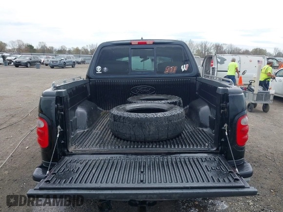 2002 Ford F-150 XLT with VIN 1FTRW08L32KD90202, listed as a IAAI auction lot 41850546 with 256,807 mi miles. Bid and sale history available at carsss.com. Image 8.