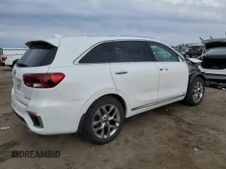 2019 Kia Sorento SX Limited with VIN 5XYPKDA55KG534456, listed as a Copart auction lot 46461045 with 65,259 mi miles and Salvage Title. Bid and sale history available at carsss.com. Image 3.