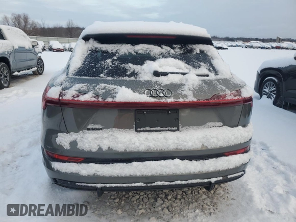 2023 Audi e-tron Chronos with VIN WA1VABGE0PB005711, listed as a Copart auction lot 86581124 with 16,308 mi miles and Clean title. Bid and sale history available at DreamBid. Image 6.