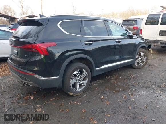 2023 Hyundai Santa Fe SEL with VIN 5NMS3DAJ3PH504079, listed as a IAAI auction lot 41142971 with 30,164 mi miles and . Bid and sale history available at DreamBid. Image 4.