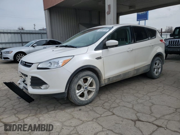 2013 Ford Escape SE with VIN 1FMCU0G97DUD84861, listed as a Copart auction lot 49396135 with 178,213 mi miles and Clean Title. Bid and sale history available at DreamBid. Image 1.