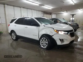 2019 Chevrolet Equinox LS with VIN 3GNAXSEV3KS667356, listed as a Copart auction lot 82869984 with 61,514 mi miles and Salvage Title. Bid and sale history available at DreamBid. Image 4.