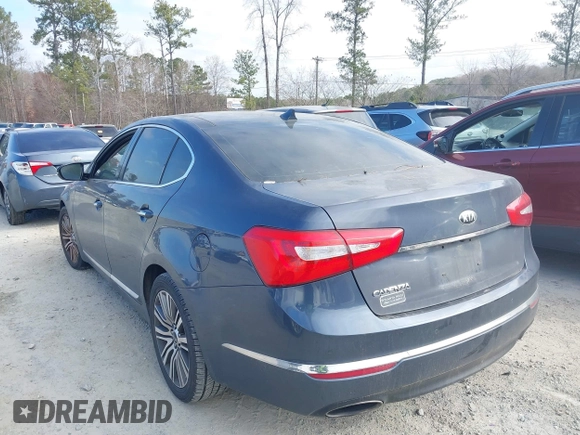 2015 Kia Cadenza Premium with VIN KNALN4D79F5195179, listed as a IAAI auction lot 41497523 with 258,695 mi miles. Bid and sale history available at carsss.com. Image 14.