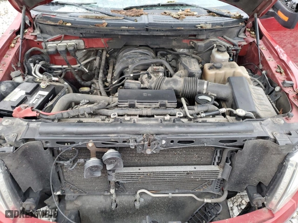 2010 Ford F-150 XL with VIN 1FTEW1E8XAFD90161, listed as a Copart auction lot 86384894 with 0 mi miles and Salvage Title. Bid and sale history available at carsss.com. Image 11.