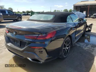 2019 BMW 8 Series M850i xDrive with VIN WBAFY4C50KBX29301, listed as a Copart auction lot 60630823 with 0 mi miles. Bid and sale history available at carsss.com. Image 3.