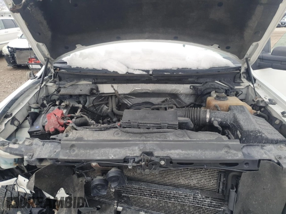 2012 Ford F-150 XL with VIN 1FTFW1EF5CFA48753, listed as a Copart auction lot 49877715 with 245,189 mi miles and Salvage Title. Bid and sale history available at carsss.com. Image 11.