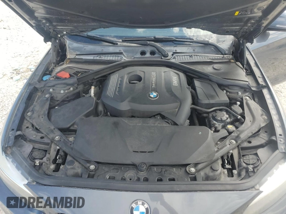 2017 BMW 2 Series 230i with VIN WBA2K9C36H7A26375, listed as a Copart auction lot 47055625 with 62,165 mi miles and Salvage title. Bid and sale history available at DreamBid. Image 11.