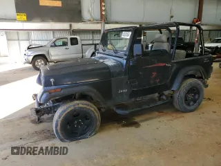 1994 Jeep Wrangler S with VIN 1J4FY19P0RP413690, listed as a Copart auction lot 85532464 with 164,148 mi miles and Salvage Title. Bid and sale history available at carsss.com. Image 1.