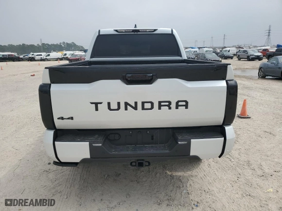 2024 Toyota Tundra 4WD Platinum with VIN 5TFNA5DBXRX232119, listed as a Copart auction lot 49095685 with 8,456 mi miles and Salvage Title. Bid and sale history available at carsss.com. Image 6.