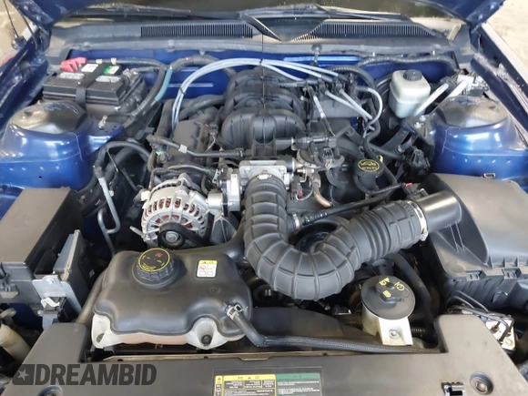 2006 Ford Mustang Standard with VIN 1ZVFT84N365217671, listed as a IAAI auction lot 41633515 with 80,637 mi miles and . Bid and sale history available at DreamBid. Image 10.