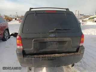 2005 Ford Escape XLT with VIN 1FMYU93165KC92924, listed as a Copart auction lot 46076435 with 0 mi miles and Salvage Title. Bid and sale history available at carsss.com. Image 6.