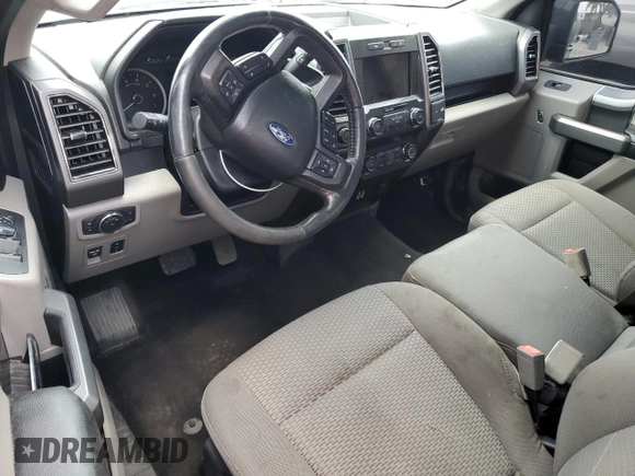 2019 Ford F-150 XL with VIN 1FTEX1EP1KKC63781, listed as a Copart auction lot 55036455 with 0 mi miles and Salvage Title. Bid and sale history available at carsss.com. Image 8.