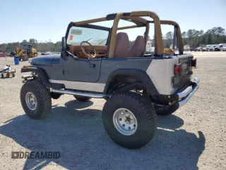 1995 Jeep Wrangler with VIN 1J4FY29S2SP309833, listed as a Copart auction lot 48493855 with 50,188 mi miles and Clean Title. Bid and sale history available at carsss.com. Image 2.