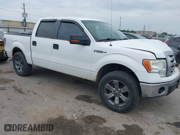 2009 Ford F-150 XL z VIN 1FTRW12819FA59776, wystawiony jako IAAI lot #42045179 z przebiegiem 193 228 mil mil oraz . Historia ofert i sprzedaży dostępna na DreamBid. Obrazek 1.