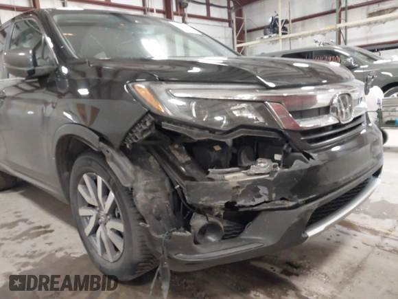 2019 Honda Pilot EX-L with VIN 5FNYF6H5XKB067858, listed as a IAAI auction lot 41643807 with 102,114 mi miles and . Bid and sale history available at carsss.com. Image 6.