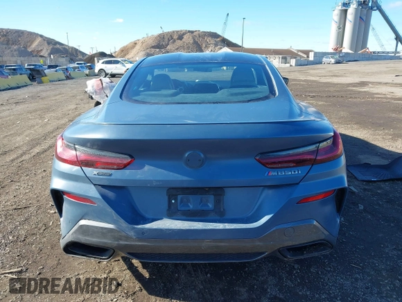 2019 BMW 8 Series M850i xDrive with VIN WBABC4C54KBU96780, listed as a IAAI auction lot 41015686 with 15,451 mi miles and . Bid and sale history available at DreamBid. Image 16.