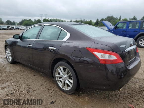 2010 Nissan Maxima SV with VIN 1N4AA5AP6AC805386, listed as a Copart auction lot 58983035 with 210,062 mi miles and Salvage title. Bid and sale history available at DreamBid. Image 2.