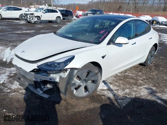 2023 Tesla Model 3 Long Range with VIN 5YJ3E1EBXPF392818, listed as a IAAI auction lot 41346835 with 31,750 mi miles and . Bid and sale history available at DreamBid. Image 22.