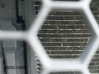 2005 Dodge 1500 SLT with VIN 1D7HU18N35S251965, listed as a IAAI auction lot 43019121 with 186,580 mi miles and . Bid and sale history available at DreamBid. Image 13.