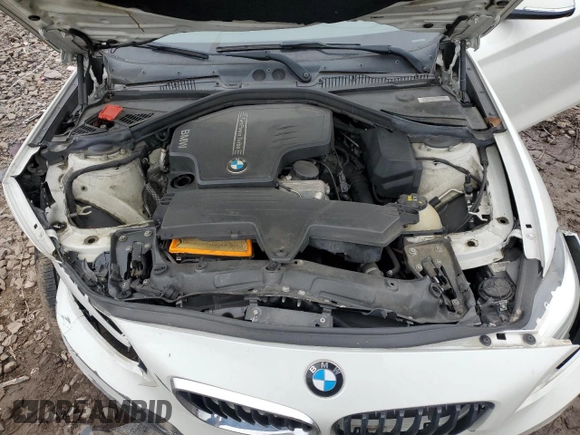 2016 BMW 2 Series 228i xDrive with VIN WBA1G9C53GV599188, listed as a Copart auction lot 59300385 with Not provided miles and Salvage title. Bid and sale history available at DreamBid. Image 11.