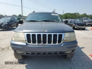 2002 Jeep Grand Cherokee Laredo with VIN 1J4GW48S92C319161, listed as a Copart auction lot 59304035 with 257,907 mi miles and Salvage title. Bid and sale history available at DreamBid. Image 5.