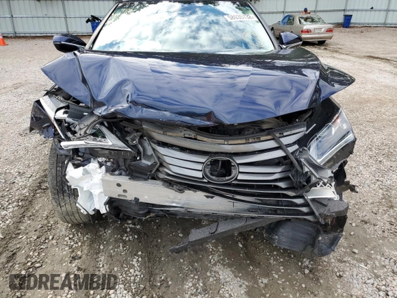 2019 Lexus RX with VIN 2T2BZMCA0KC192387, listed as a Copart auction lot 58935132 with 33,224 mi miles. Bid and sale history available at carsss.com. Image 9.